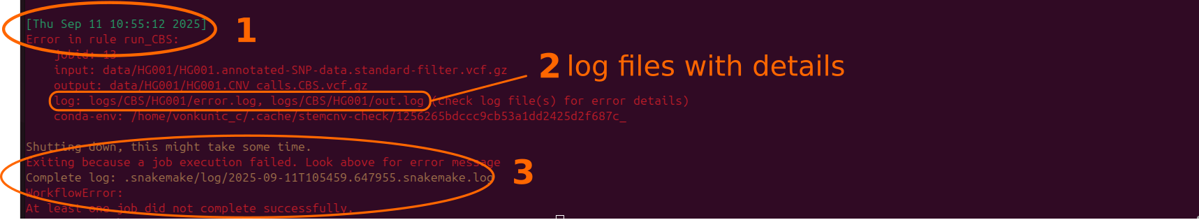 _images/example_error_snake.png